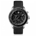 ice watch