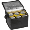 Non woven cooling bag NIEBY
