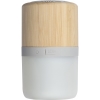 Bluetooth speaker HAARLEM