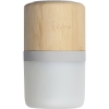 Bluetooth speaker HAARLEM