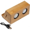 Induction loudspeaker NUREMBERG