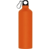Drinking bottle CRANFORD 800 ml