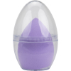 Makeup sponge case with sponge